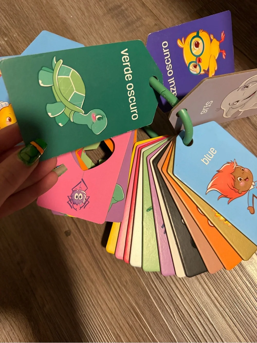 Kids Color & Shape Learning Cards - Multi-Color- like new